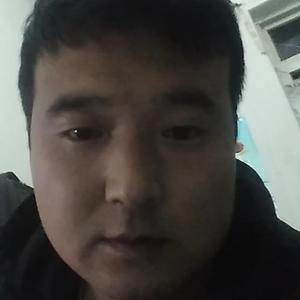 放飞