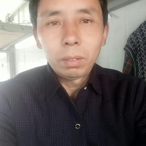 依靠的港湾