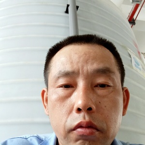 笨牛