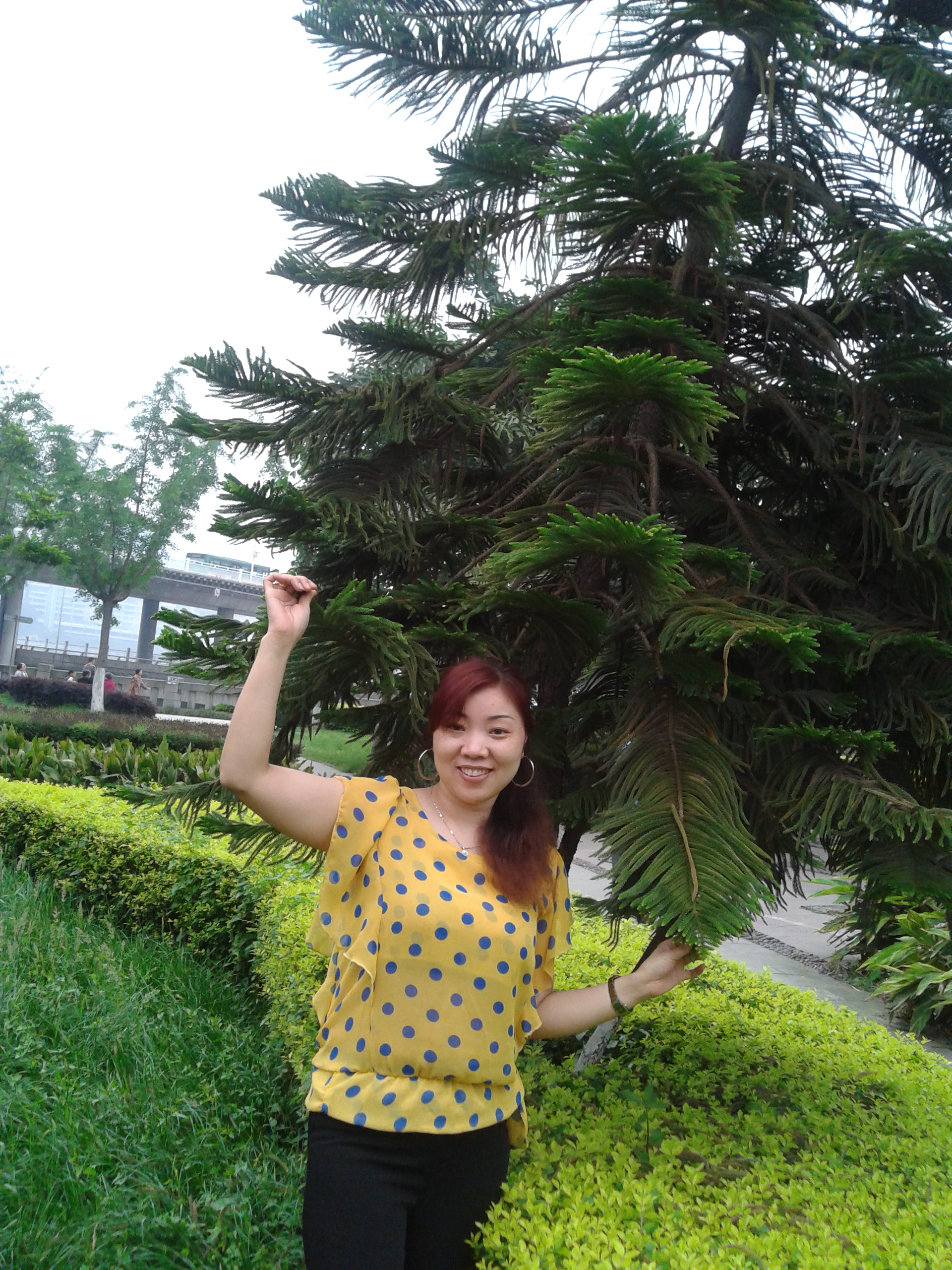 浮伤年华资料照片_重庆征婚交友_珍爱网