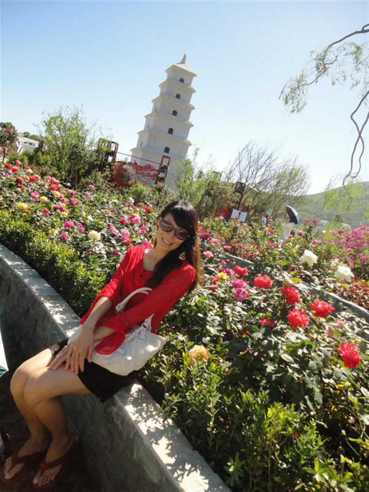 29岁未婚女征婚照片(id:66468072)_海南三亚征婚交友_珍爱网